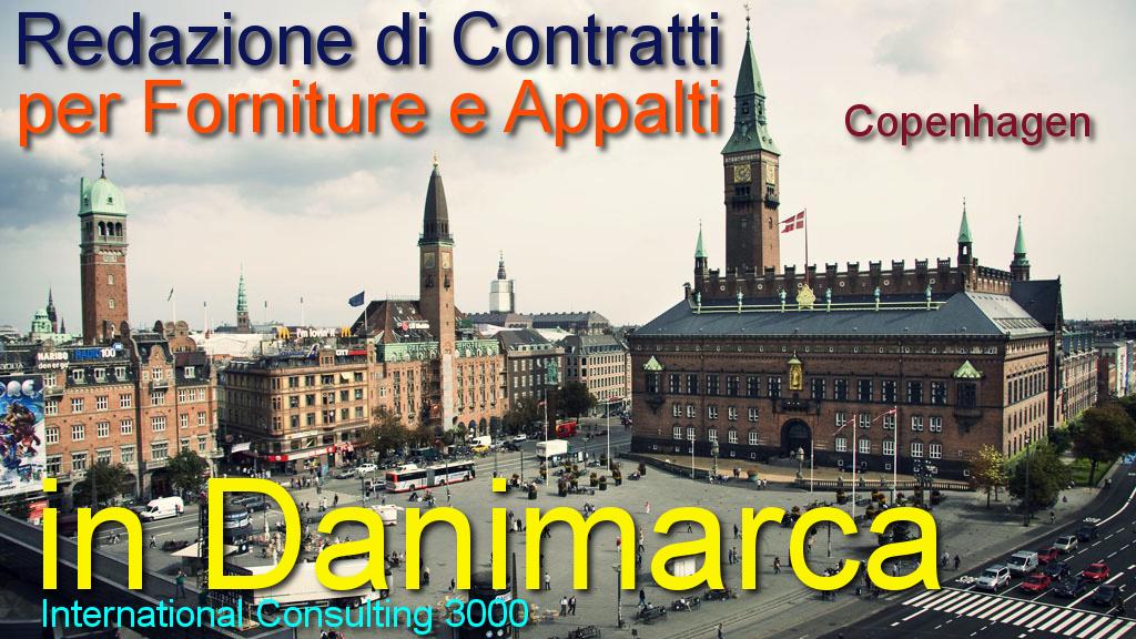 DANIMARCA-CONTRATTO-APPALTO-COSTRUZIONE-CHIAVI-IN-MANO-INSTALLAZIONE-FORNITURA-SUBAPPALTO-LAVORI-PUBBLICI-IMPIANTO-COPENHAGEN