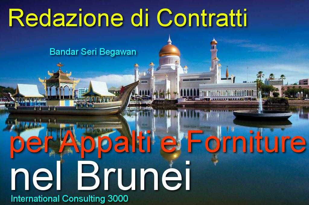 BRUNEI-CONTRATTO-APPALTO-COSTRUZIONE-CHIAVI-IN-MANO-INSTALLAZIONE-FORNITURA-SUBAPPALTO-LAVORI-PUBBLICI