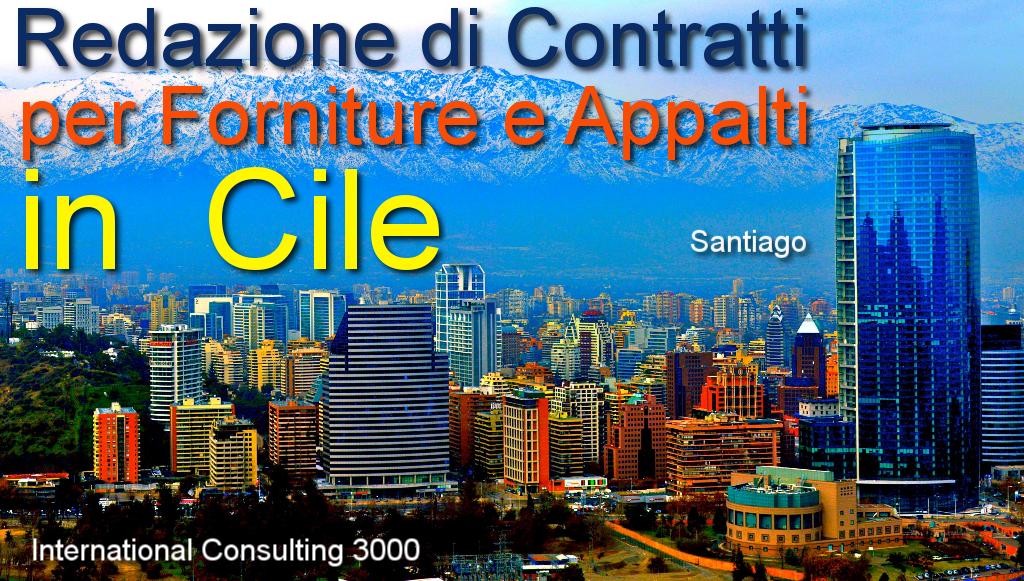 CILE-CONTRATTO-APPALTO-COSTRUZIONE-CHIAVI-IN-MANOINSTALLAZIONE-FORNITURA-SUBAPPALTO-LAVORI-PUBBLICI-IMPIANTO-SANTIAGO